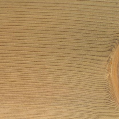 09 – Brosse 1 teinte