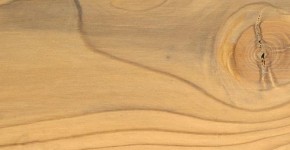 01 – Brosse 2 teintes