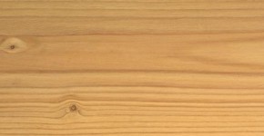 02 – Brosse 2 teintes