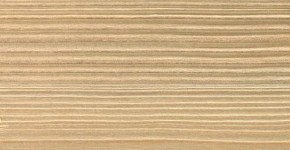 04 – Brosse 2 teintes