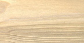 05 – Brosse 2 teintes