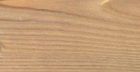 07 – Brosse 2 teintes