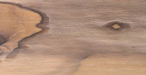 08 – Brosse 2 teintes