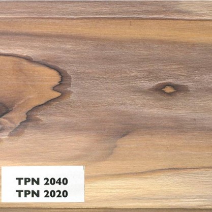 08 – Brosse 2 teintes
