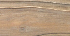 09 – Brosse 2 teintes