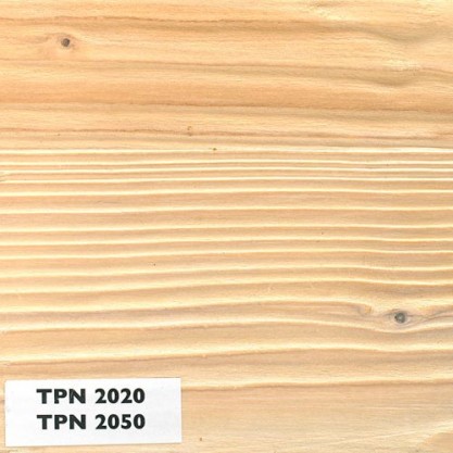 12 – Brosse 2 teintes