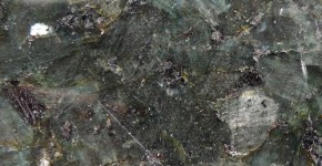 12 – Labrador vert