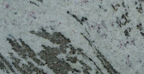29 – Vert eucalyptus