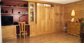 95 – Salon Châtaignier (avec lit relevable)